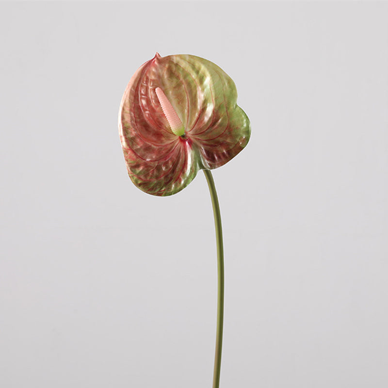 anthurium wholesale flowers Bulk 35 inches Tall Extra Long Anthurium Stems Real Touch Flowers Wholesale