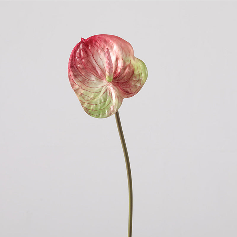 anthurium long stem Bulk 35 inches Tall Extra Long Anthurium Stems Real Touch Flowers Wholesale