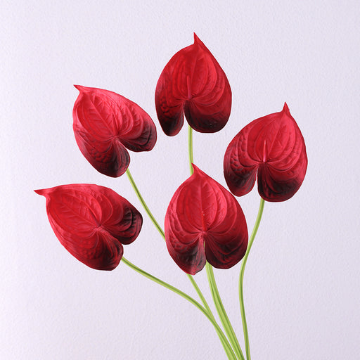 anthurium and calla lily Bulk 26 inches Tall Anthurium Stems Real Touch Flowers Wholesale — Artificialmerch