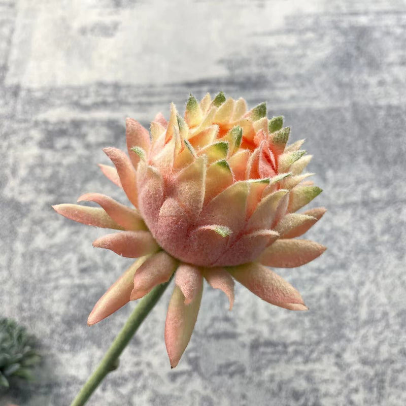 Tiges d'artichaut en vrac de 23 pouces, fleurs artificielles en soie, fruits en gros