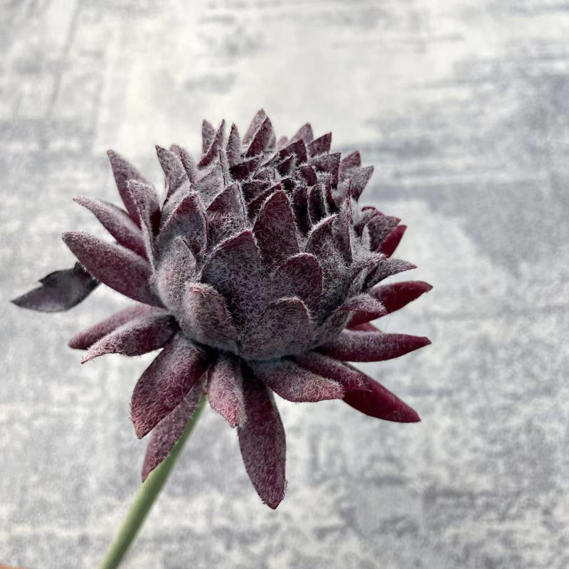 Tiges d'artichaut en vrac de 23 pouces, fleurs artificielles en soie, fruits en gros