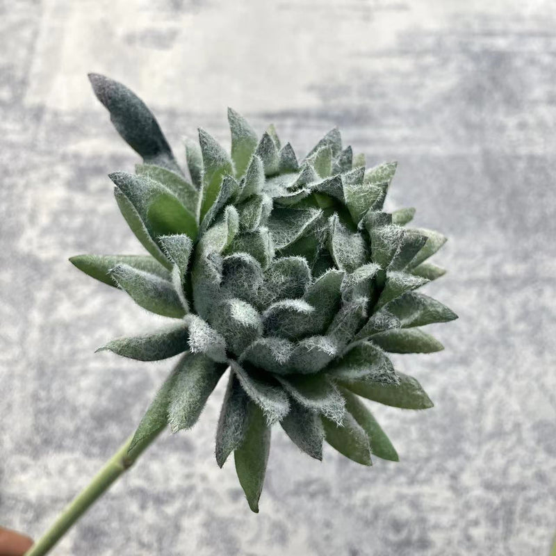 Tiges d'artichaut en vrac de 23 pouces, fleurs artificielles en soie, fruits en gros