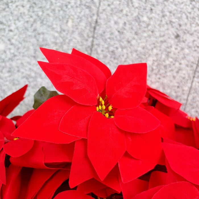 Bulk 24" Artificial Large Red Velvet Poinsettia with Vase 24-Heads Flowers UV Resistant for Outdoor Memorial Wholesale