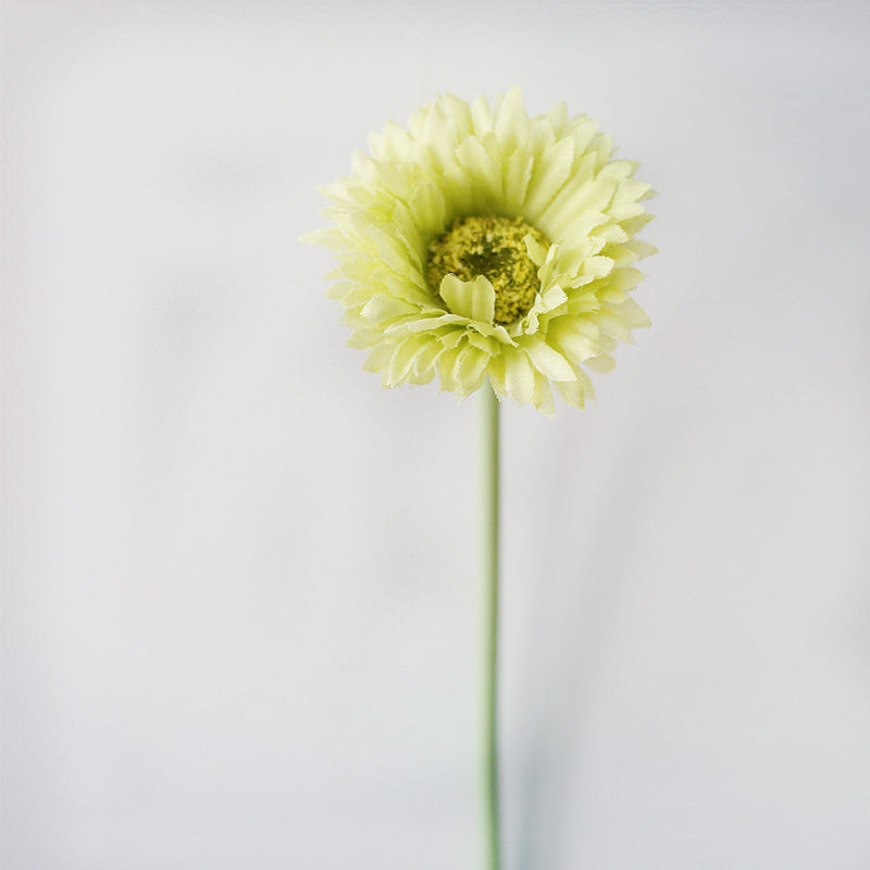 Lot de 10 tiges de marguerites africaines artificielles en vrac de 7,8 pouces, bouquet de fleurs de gerbera, arrangements floraux de table de printemps, vente en gros