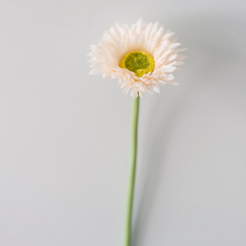 Lot de 10 tiges de marguerites africaines artificielles en vrac de 7,8 pouces, bouquet de fleurs de gerbera, arrangements floraux de table de printemps, vente en gros