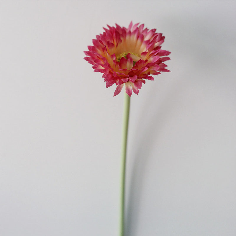 Lot de 10 tiges de marguerites africaines artificielles en vrac de 7,8 pouces, bouquet de fleurs de gerbera, arrangements floraux de table de printemps, vente en gros