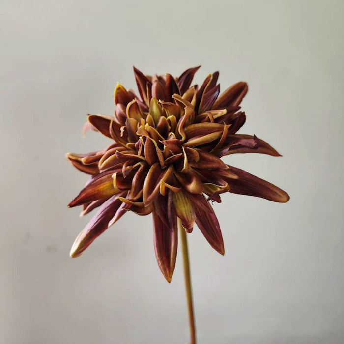 Bulk 21.6 inches Tall Vintage Dahlia Real Touch Stems Winter Dahlias Silk Flowers Wholesale