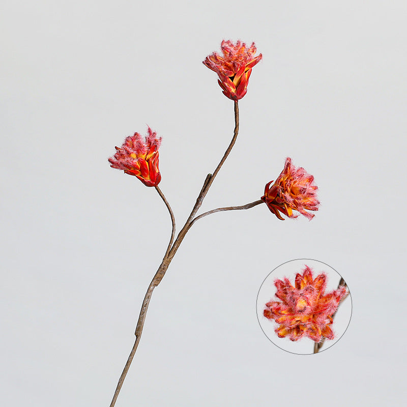 Bulk Retro Protea Stems Artificial Dried Style Flowers Wholesale