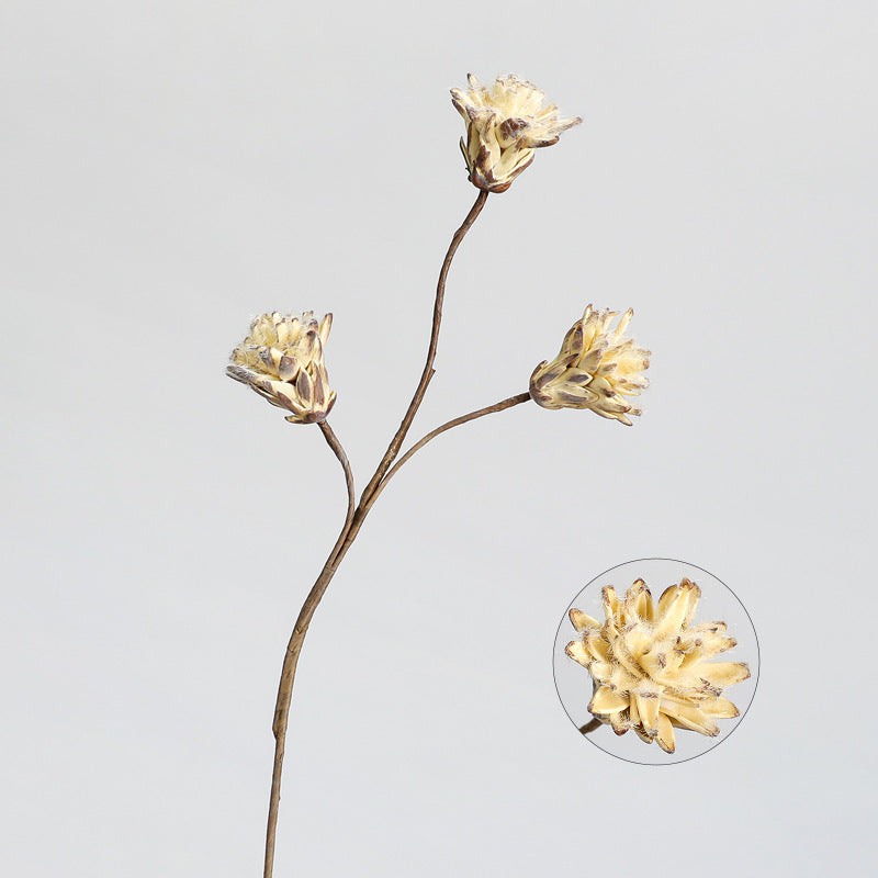 Bulk Retro Protea Stems Artificial Dried Style Flowers Wholesale