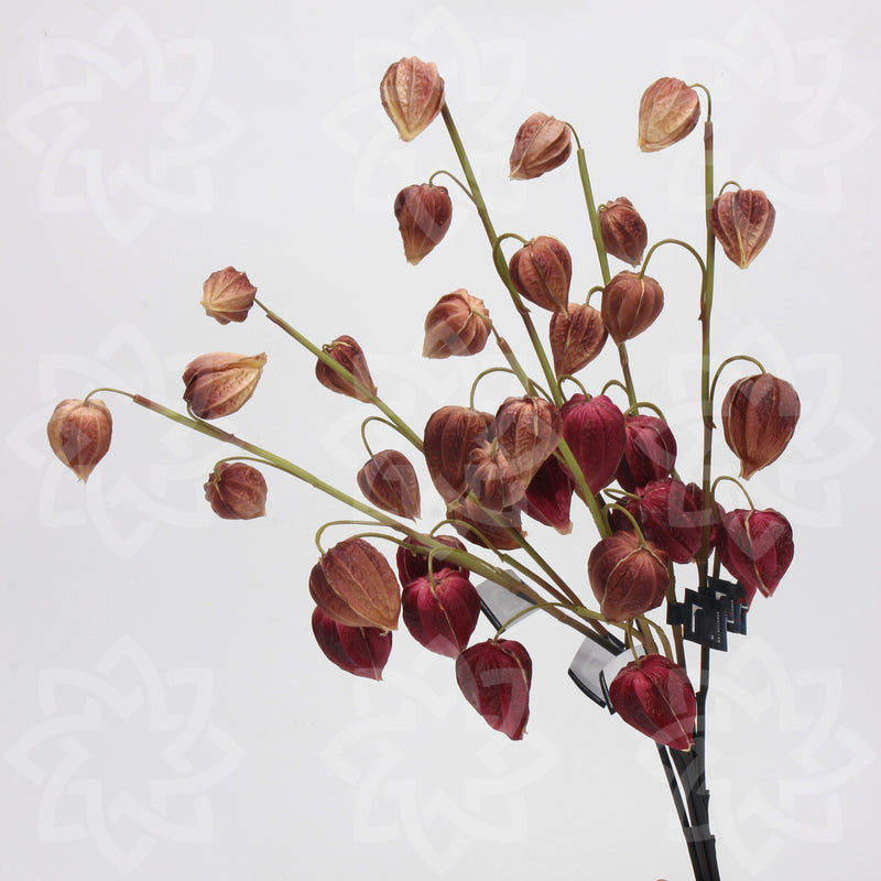 Bulk 27" Cape Gooseberry Stems Real Touch Artificial Peru Groundcherry Plant Fall Decor Wholesale