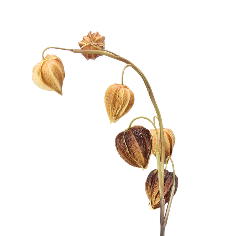 Bulk 27" Cape Gooseberry Stems Real Touch Artificial Peru Groundcherry Plant Fall Decor Wholesale