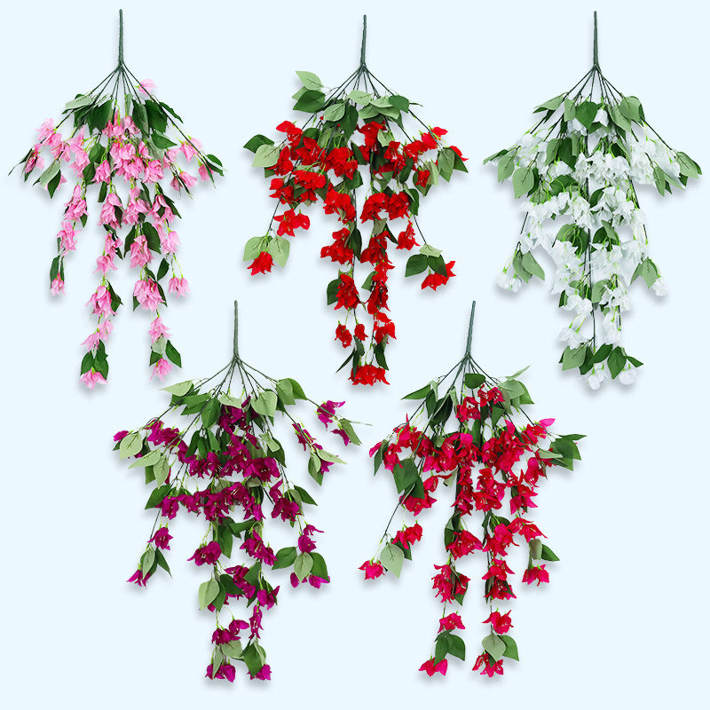 Bulk 2pcs Bougainvillea Bushy Trailing Vines UV Resistant Flowers for Outdoor Wholesale