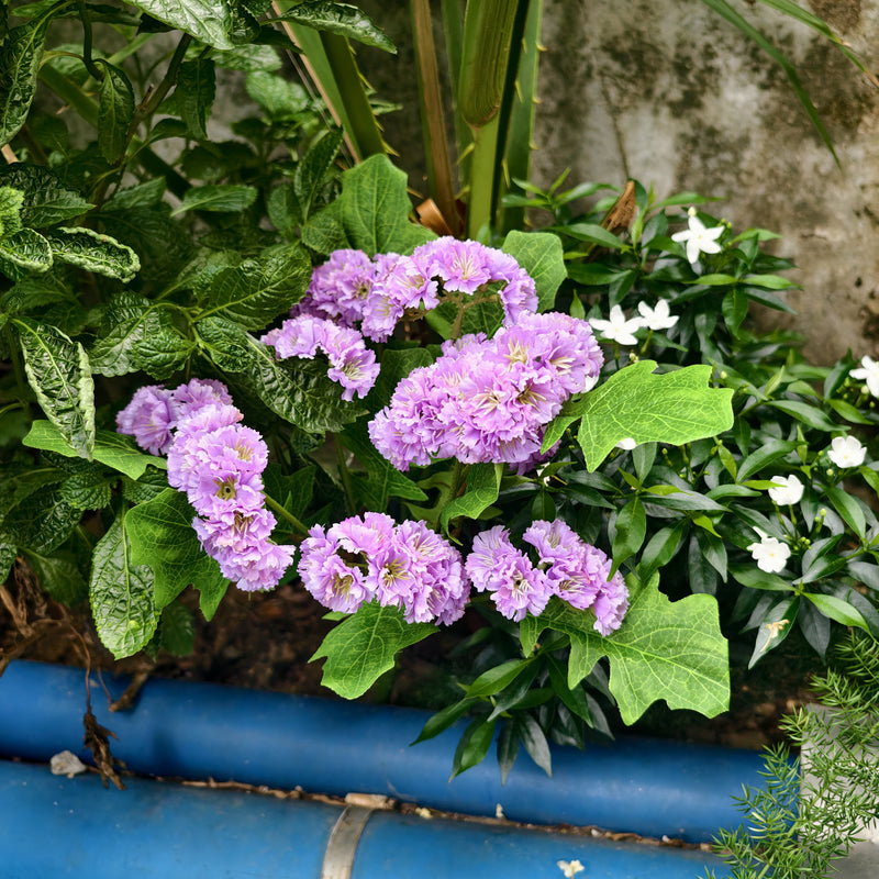 Bulk Artificial Forget-Me-Nots Bush - UV Resistant Wildflowers for Outdoor Hanging Baskets, Garden & Patio Decor Wholesaler