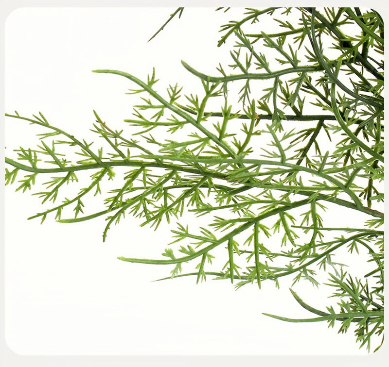 Premium 16" Real Touch Asparagus Bush - Lifelike Greenery for Indoors