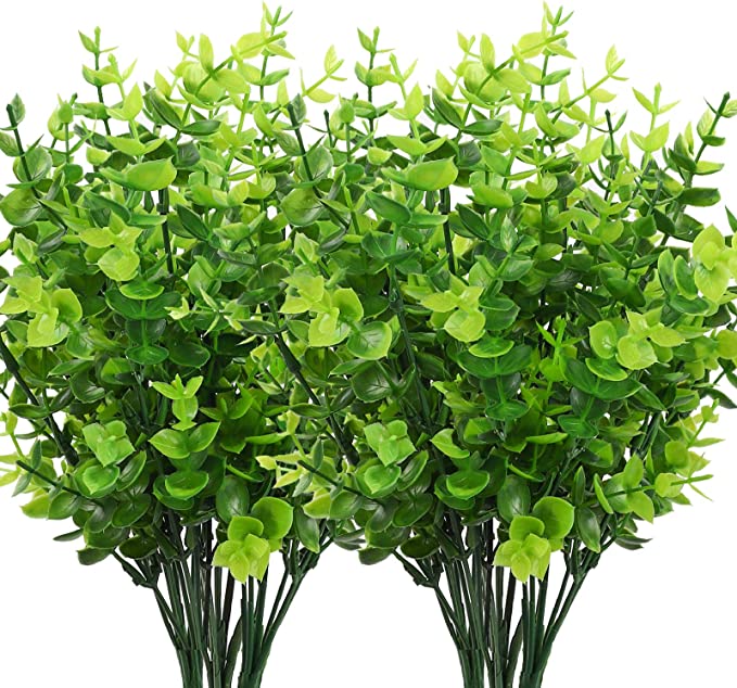 Wholesale Clearance! Bulk UV - Resistant Boxwood Bush Plants for Outdoor Use