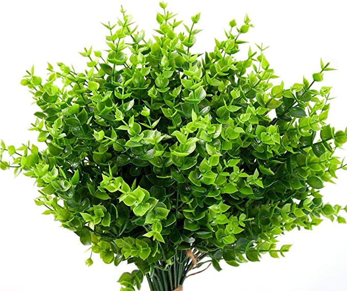 Wholesale Clearance! Bulk UV - Resistant Boxwood Bush Plants for Outdoor Use