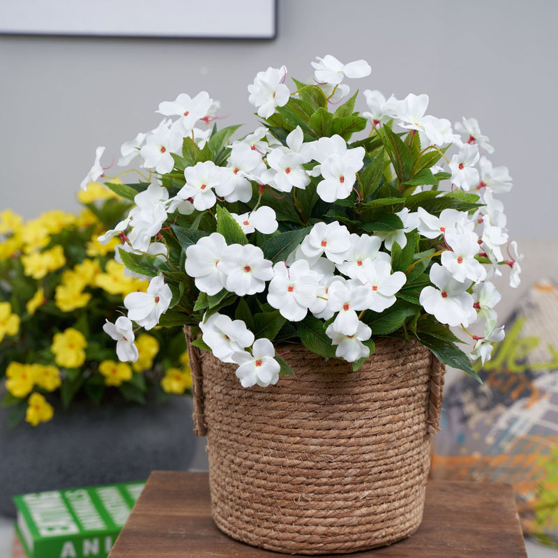 Clearance Bulk Impatiens Bush UV Resistant Flowers for Outdoors Wholesale
