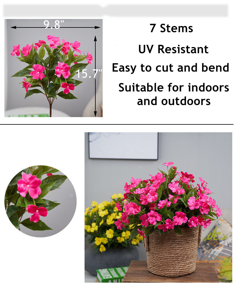 Clearance Bulk Impatiens Bush UV Resistant Flowers for Outdoors Wholesale