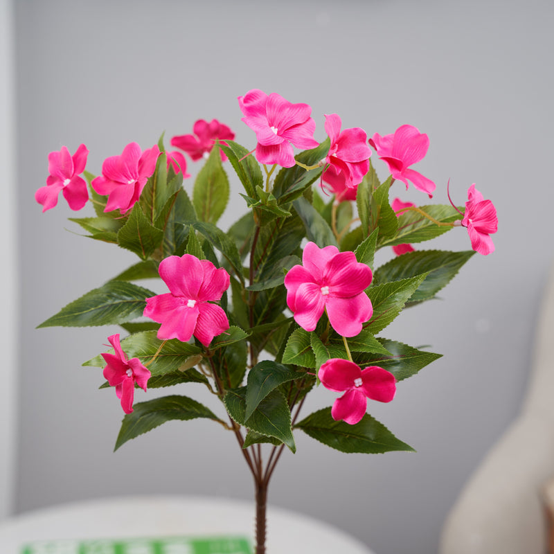 Clearance Bulk Impatiens Bush UV Resistant Flowers for Outdoors Wholesale
