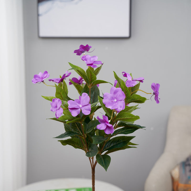 Clearance Bulk Impatiens Bush UV Resistant Flowers for Outdoors Wholesale