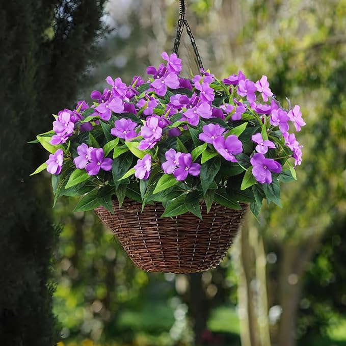 Clearance Bulk Impatiens Bush UV Resistant Flowers for Outdoors Wholesale
