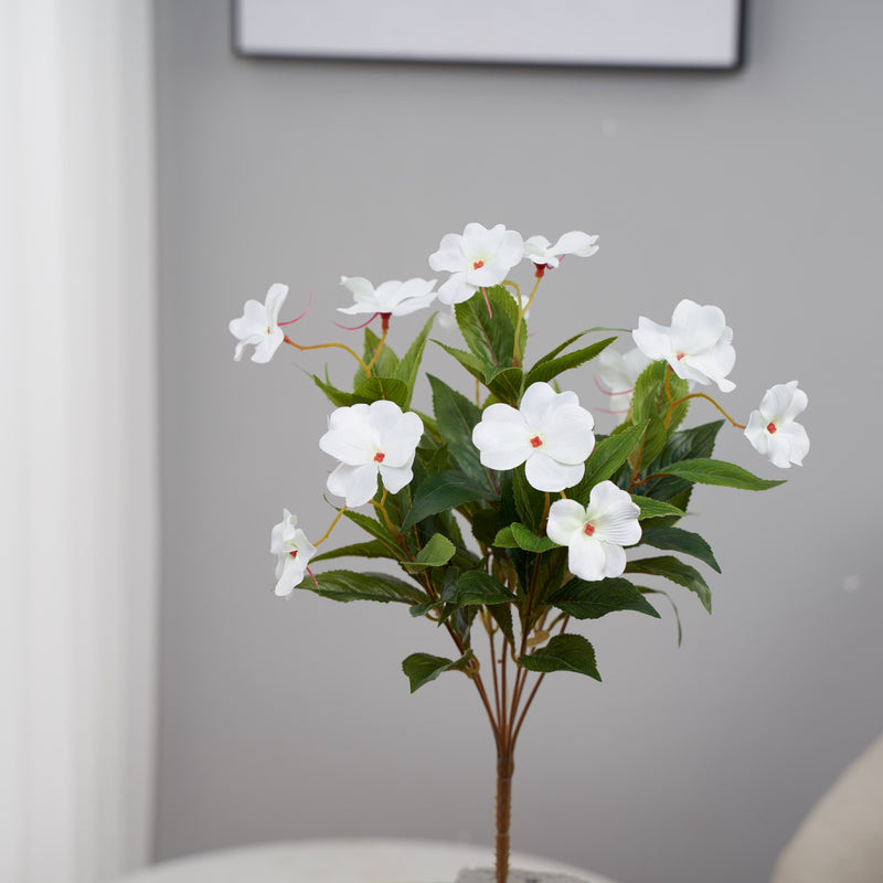 Clearance Bulk Impatiens Bush UV Resistant Flowers for Outdoors Wholesale