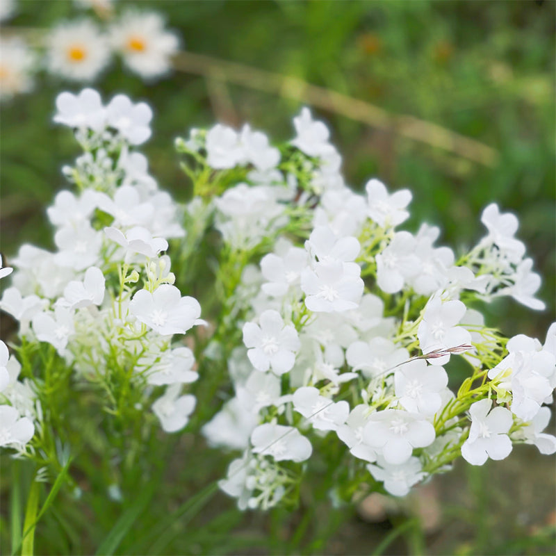 Lot de 8 bouquets de fleurs sauvages Oxalis Bush de 13 pouces pour plantes artificielles d'extérieur résistantes aux UV en gros 