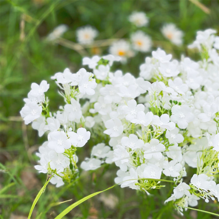 Bulk 13" 8 Bundles Oxalis Bush Wild Flowers for outdoors Artificial Plants UV Resistant Wholesale