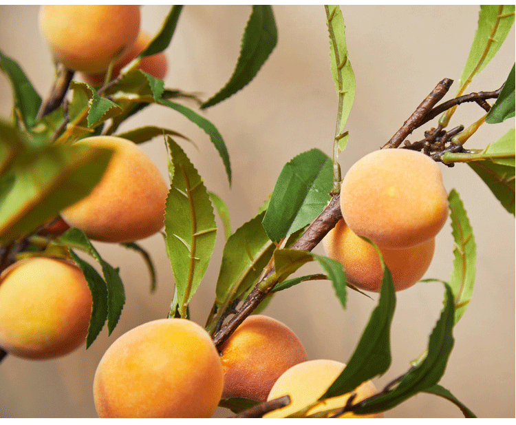 Bulk 38" Extra Long Peach Stems Artificial Fruit Stems Wholesale