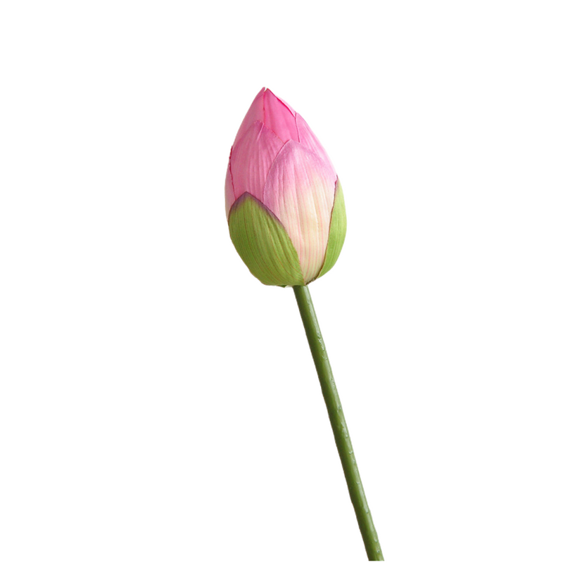 Flores de lirio de loto a granel, tallos de hojas, vaina de semillas, tacto Real, venta al por mayor Artificial 