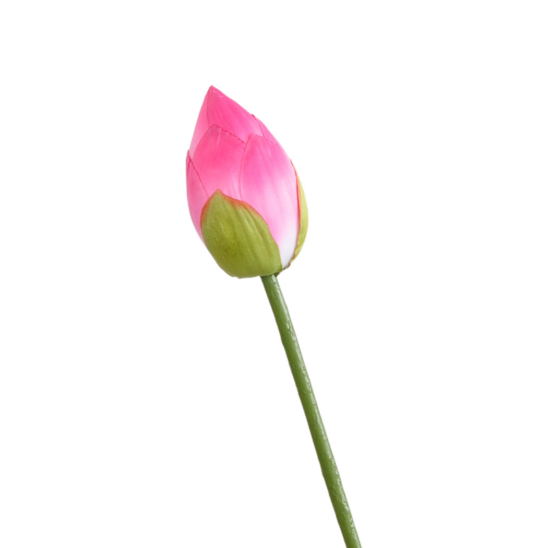 Flores de lirio de loto a granel, tallos de hojas, vaina de semillas, tacto Real, venta al por mayor Artificial 