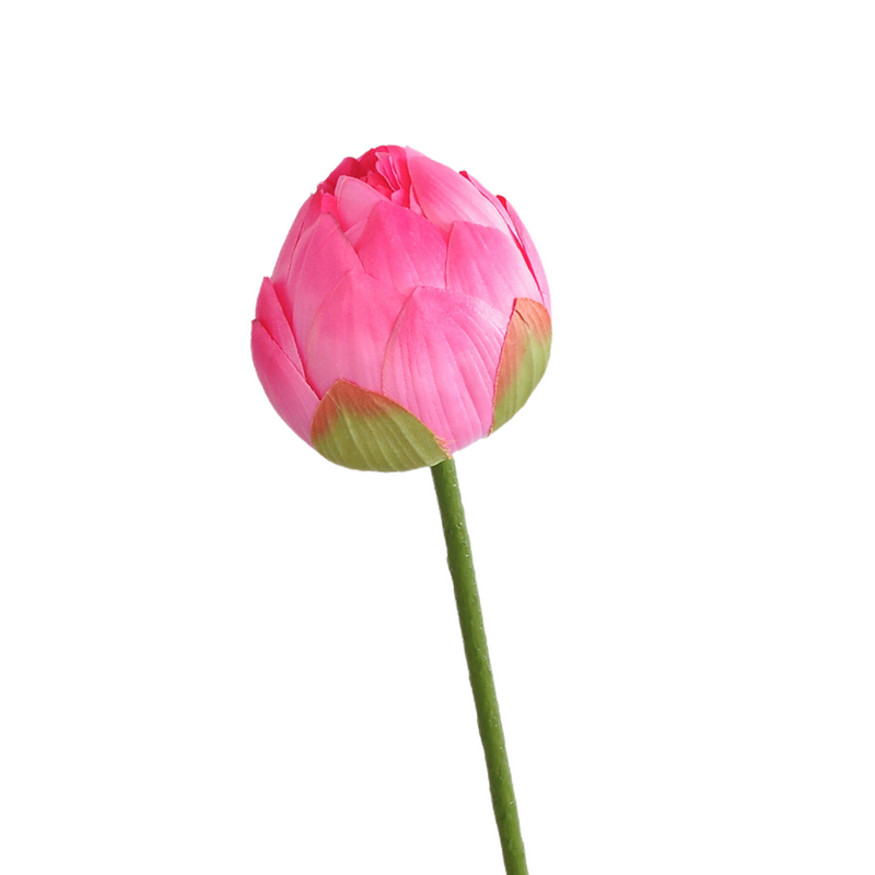 Flores de lirio de loto a granel, tallos de hojas, vaina de semillas, tacto Real, venta al por mayor Artificial 