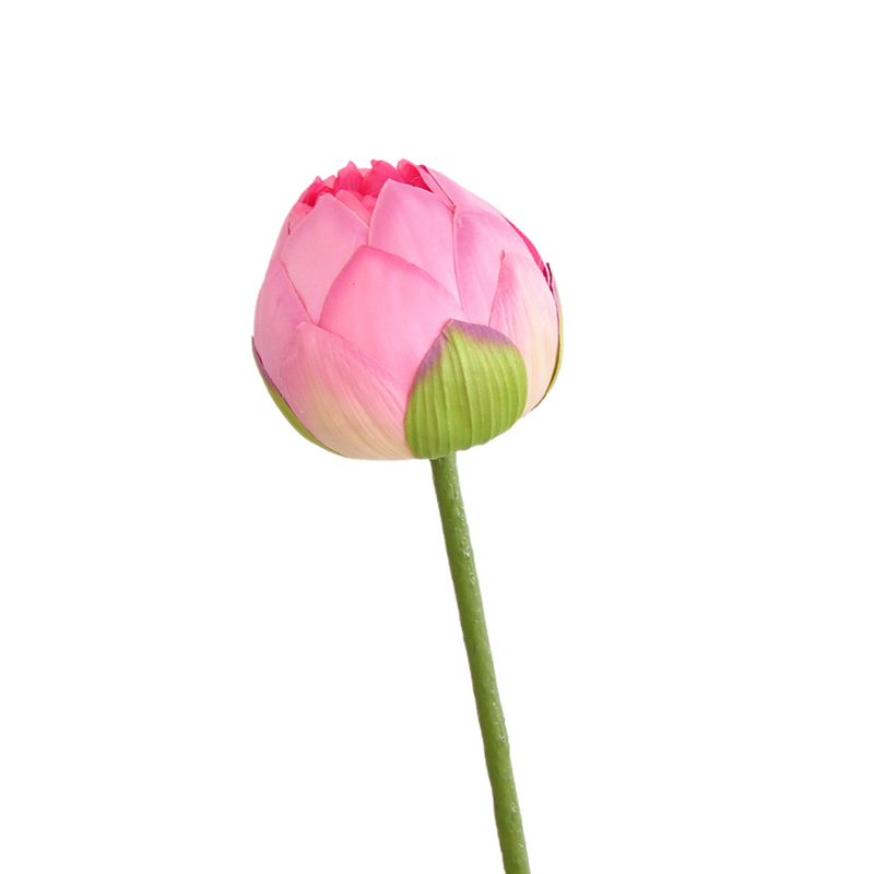 Flores de lirio de loto a granel, tallos de hojas, vaina de semillas, tacto Real, venta al por mayor Artificial 