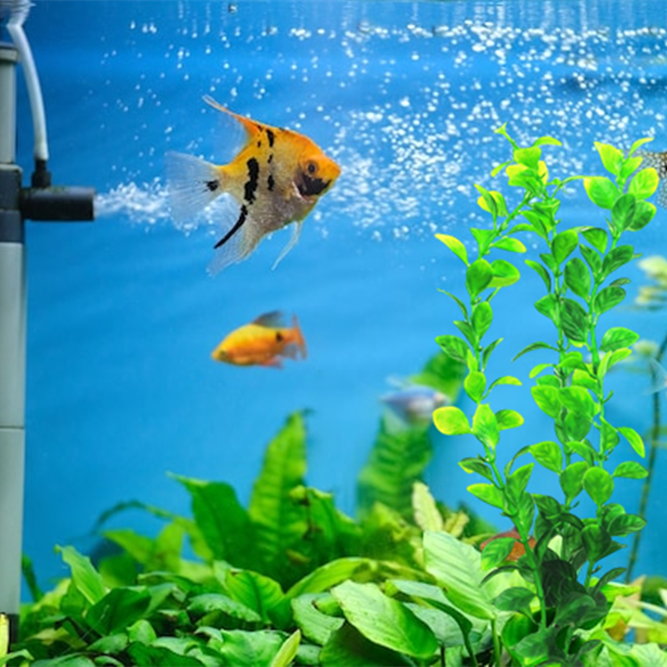 bulk plastic aquarium plants Bulk Artificial Underwater Plants Aquarium Fish Tank Aquarium Plants Green Water Grass Wholesale