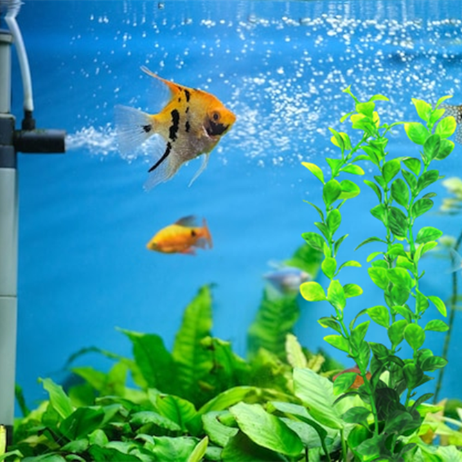 Bulk Artificial Underwater Plants Aquarium Fish Tank Aquarium Plants Green Water Grass Wholesale