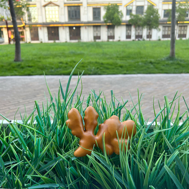 Racine de gingembre artificielle en vrac, marron, vente en gros