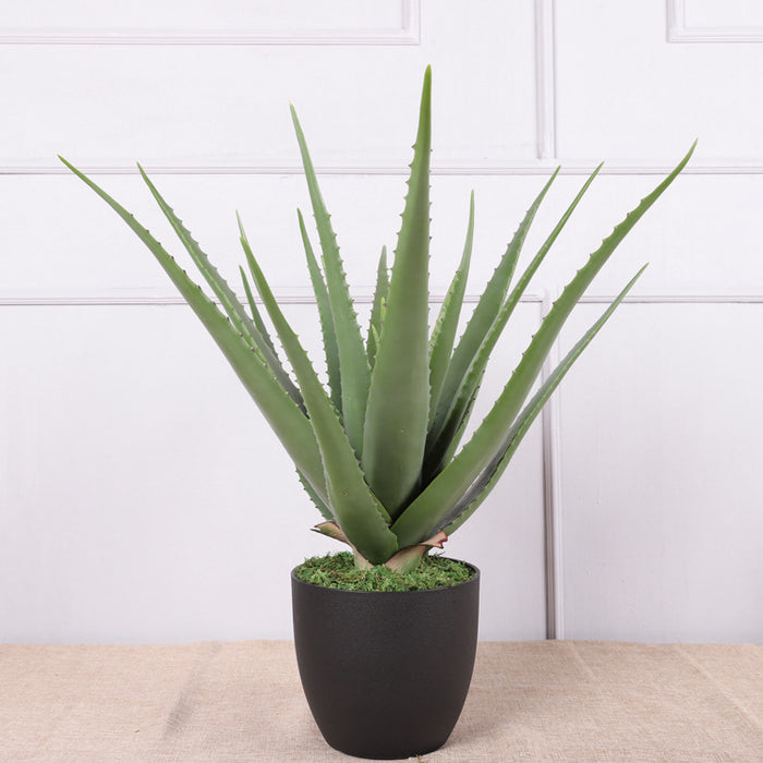 Plantas de Aloe Vera en maceta verde artificial a granel, tacto Real para el hogar, mesa de jardín interior, estante de dormitorio, decoración de oficina, venta al por mayor