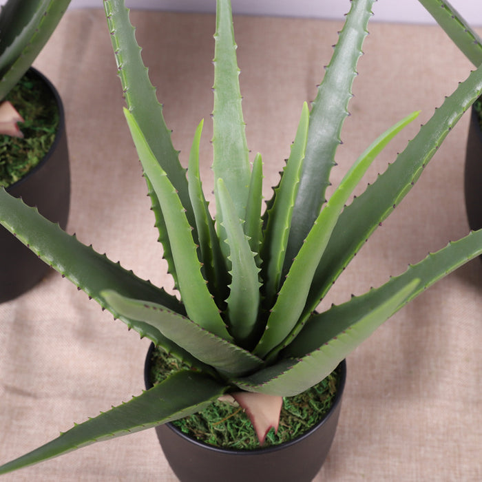 Plantas de Aloe Vera en maceta verde artificial a granel, tacto Real para el hogar, mesa de jardín interior, estante de dormitorio, decoración de oficina, venta al por mayor