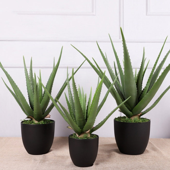 Plantas de Aloe Vera en maceta verde artificial a granel, tacto Real para el hogar, mesa de jardín interior, estante de dormitorio, decoración de oficina, venta al por mayor