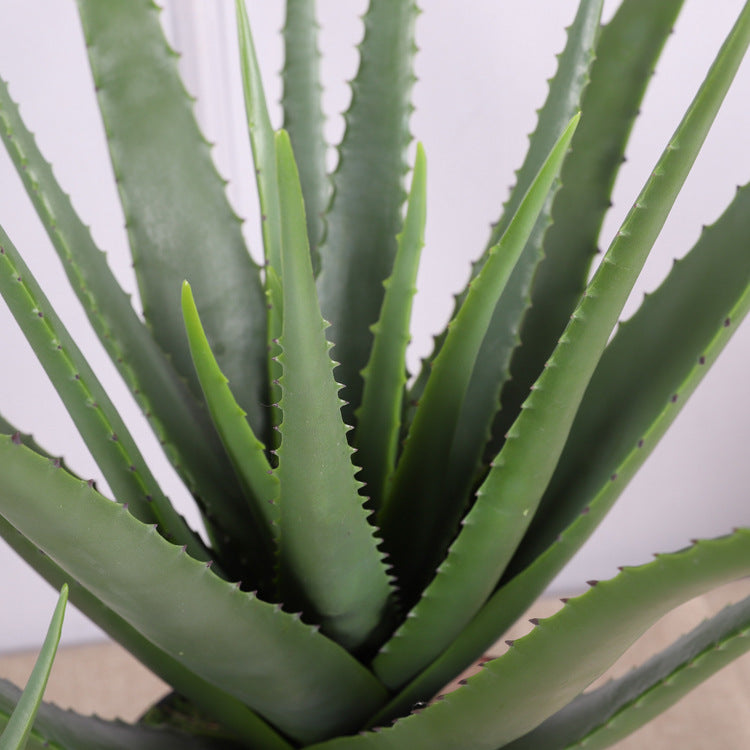 venta de aloe vera planta Plantas de Aloe Vera en maceta verde artificial a granel, tacto Real p — Artificialmerch