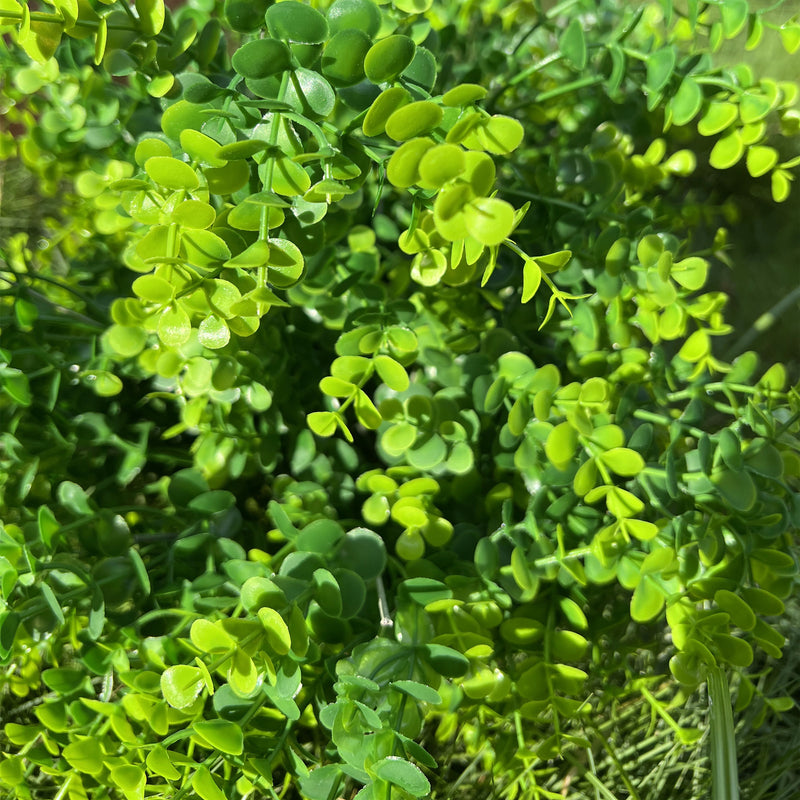 Bulk Exclusive 20" Boxwood Bush Large Outdoor Artificial Plants UV Resistant Wholesale