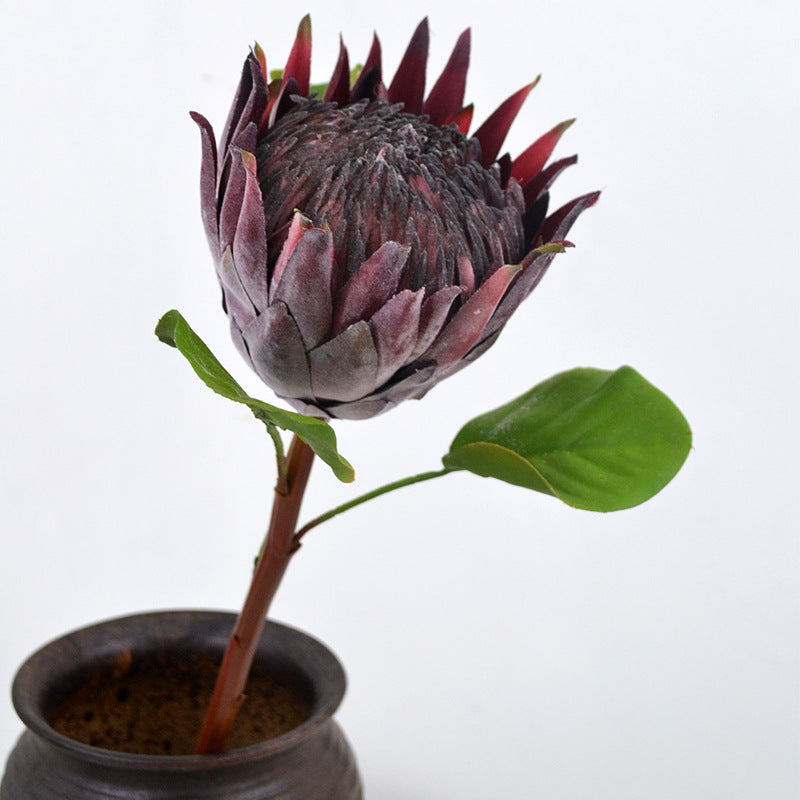 Fleur artificielle Protea Cynaroides de 26 pouces d'AM Basics