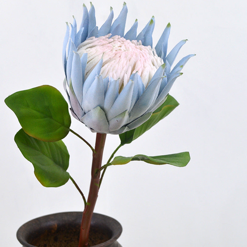 Fleur artificielle Protea Cynaroides de 26 pouces d'AM Basics