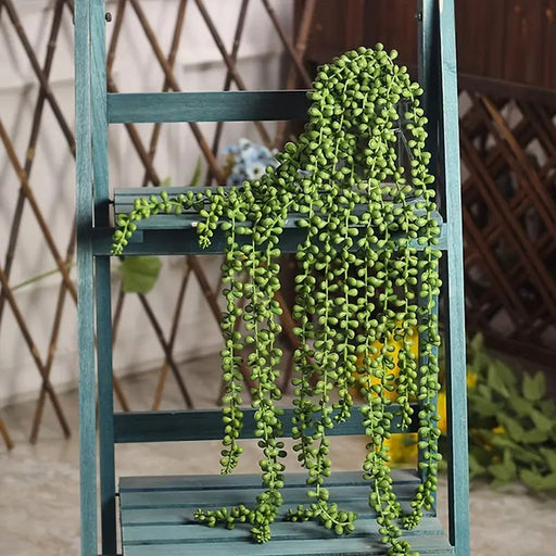 artificial trailing succulent plant Bulk 18" Potted Plant String of Pearls Live Trailing Succulent Fully Rooted in Pots Wholesale