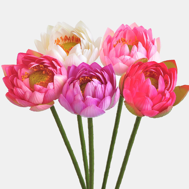 Flores de lirio de loto a granel, tallos de hojas, vaina de semillas, tacto Real, venta al por mayor Artificial 