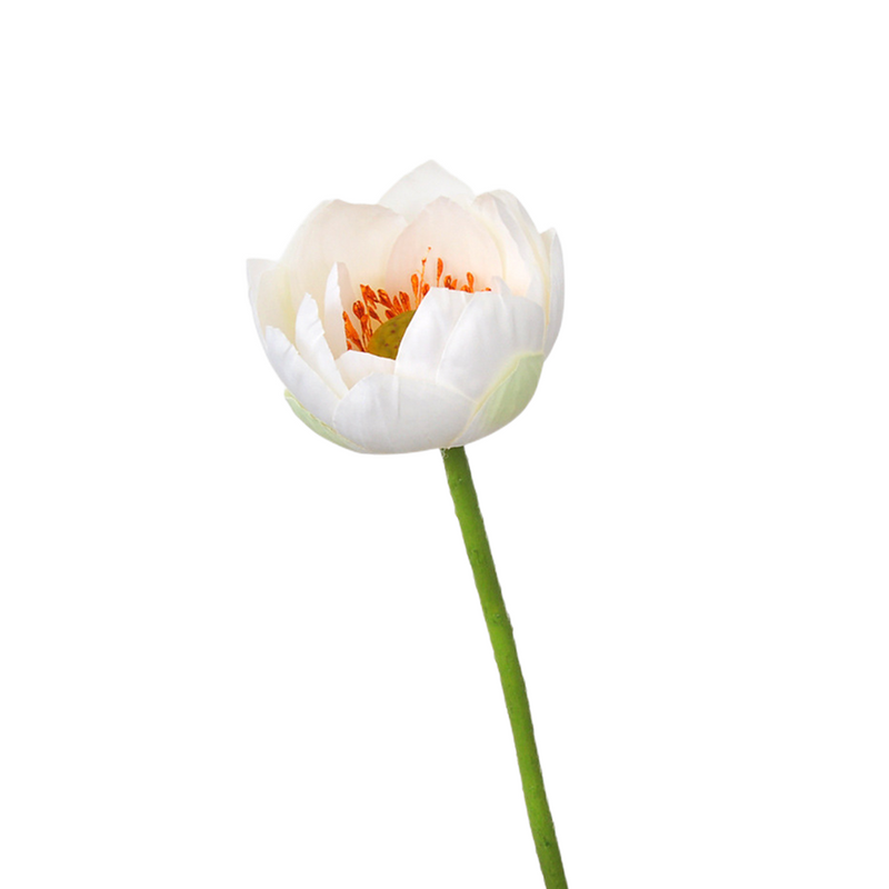 Flores de lirio de loto a granel, tallos de hojas, vaina de semillas, tacto Real, venta al por mayor Artificial 