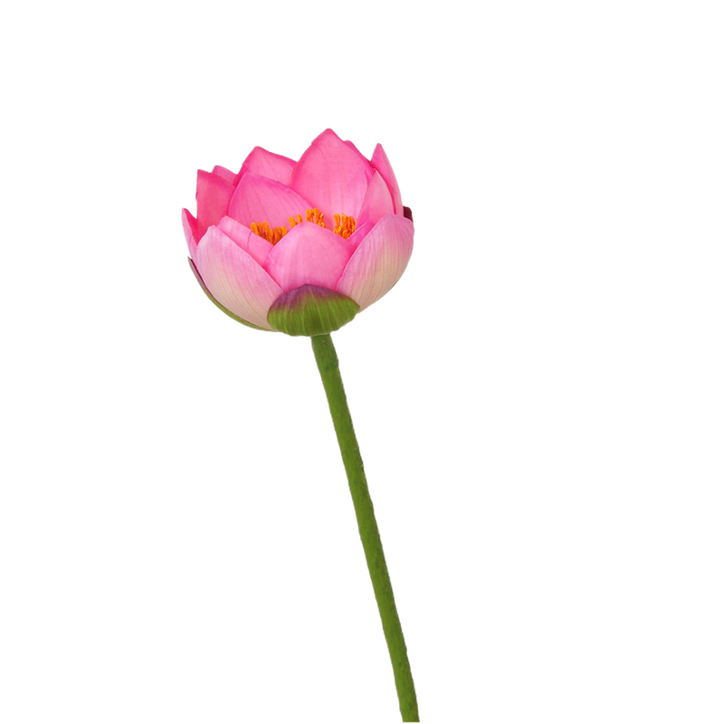 Flores de lirio de loto a granel, tallos de hojas, vaina de semillas, tacto Real, venta al por mayor Artificial 