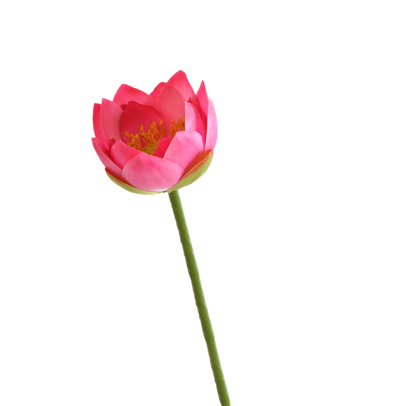 Flores de lirio de loto a granel, tallos de hojas, vaina de semillas, tacto Real, venta al por mayor Artificial 