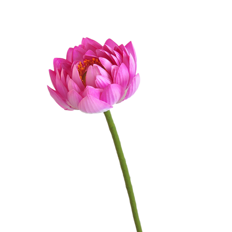 Flores de lirio de loto a granel, tallos de hojas, vaina de semillas, tacto Real, venta al por mayor Artificial 