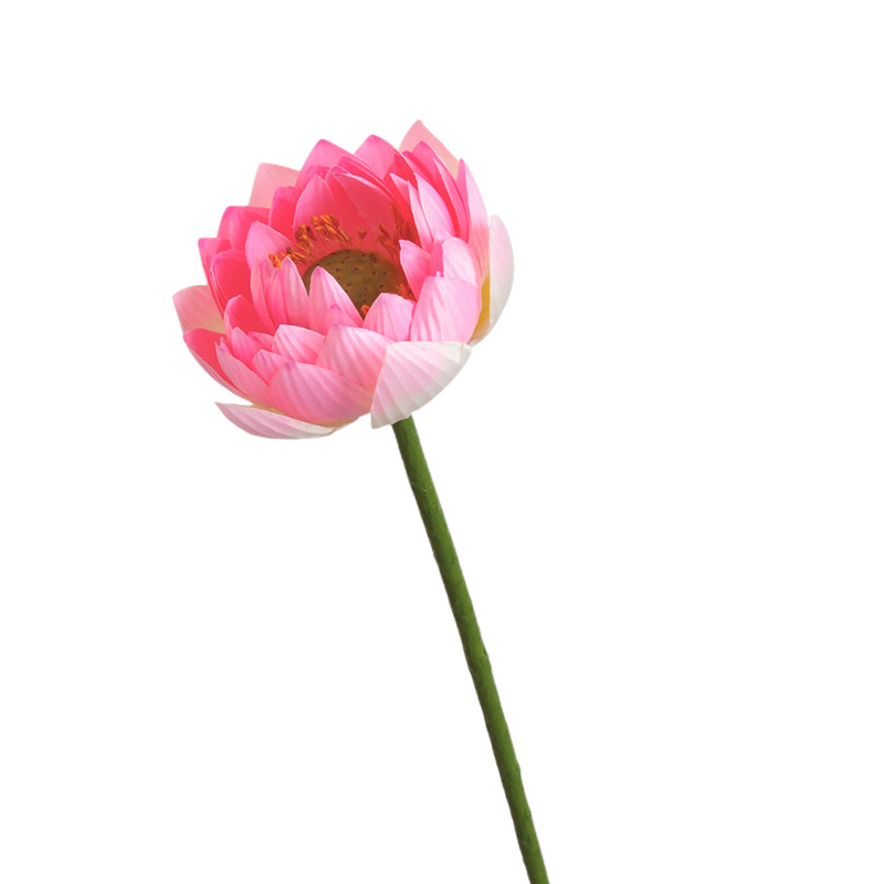 Flores de lirio de loto a granel, tallos de hojas, vaina de semillas, tacto Real, venta al por mayor Artificial 